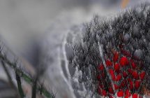 42 pano_2.JPG